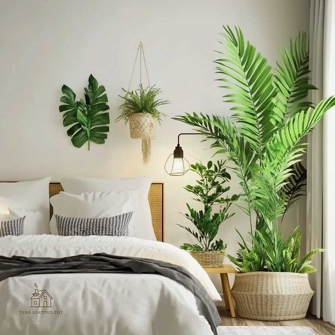 Budget Grow Light for Dark Bedrooms