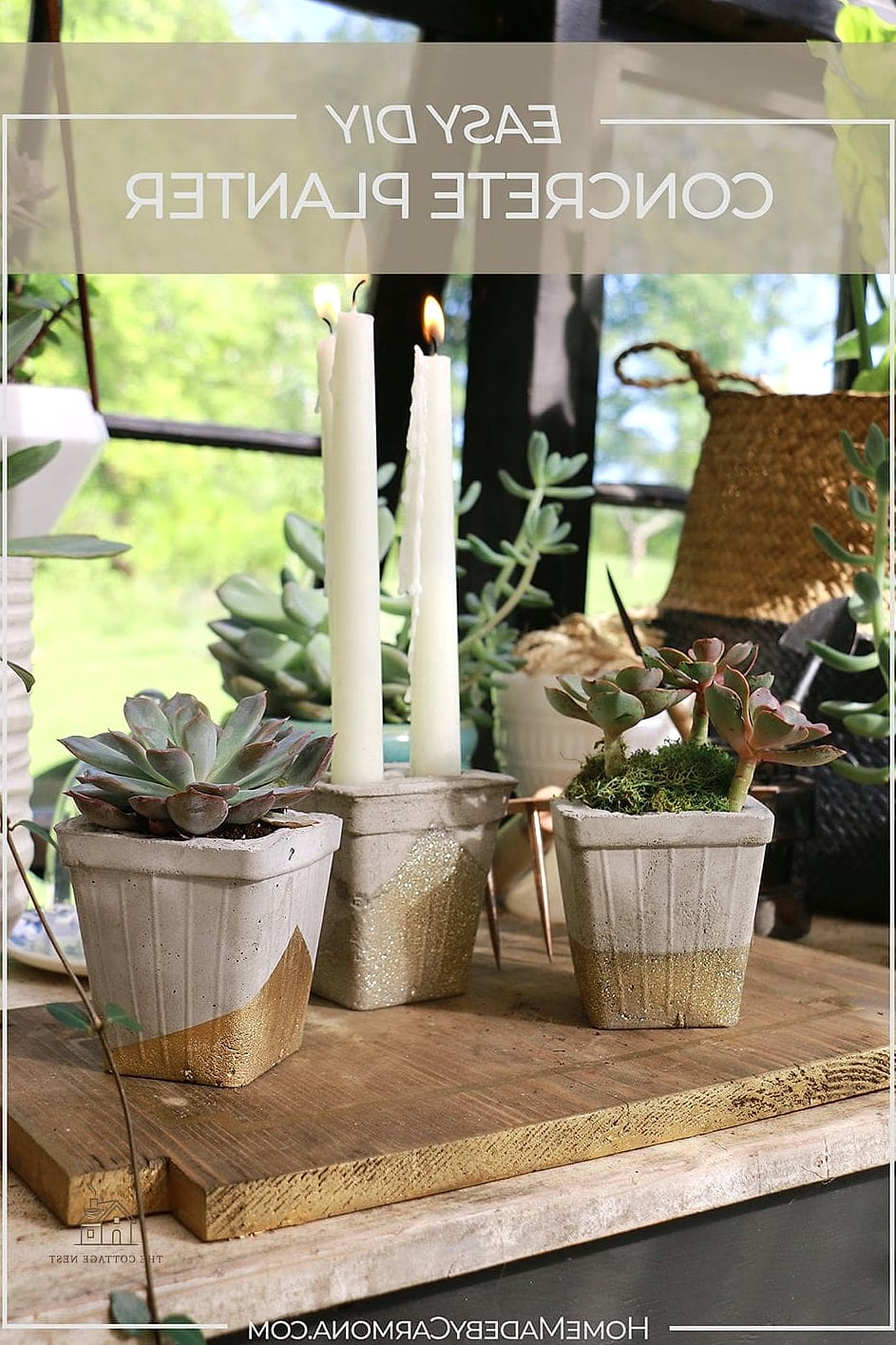 DIY Concrete Planters