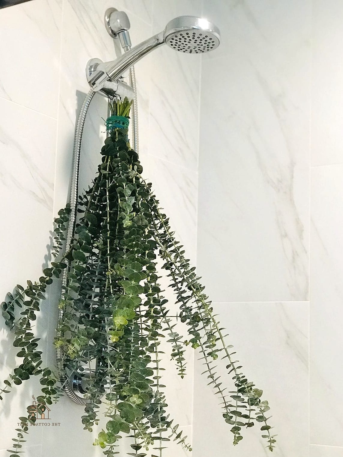 25 Stunning Outdoor Shower Ideas You'll Absolutely Love 9 Hanging Plant Wall Backdrop