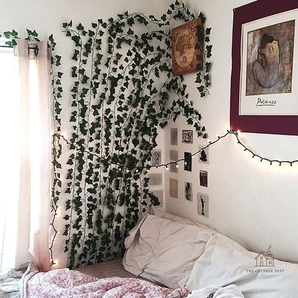 Ivy Trailing Along a Headboard
