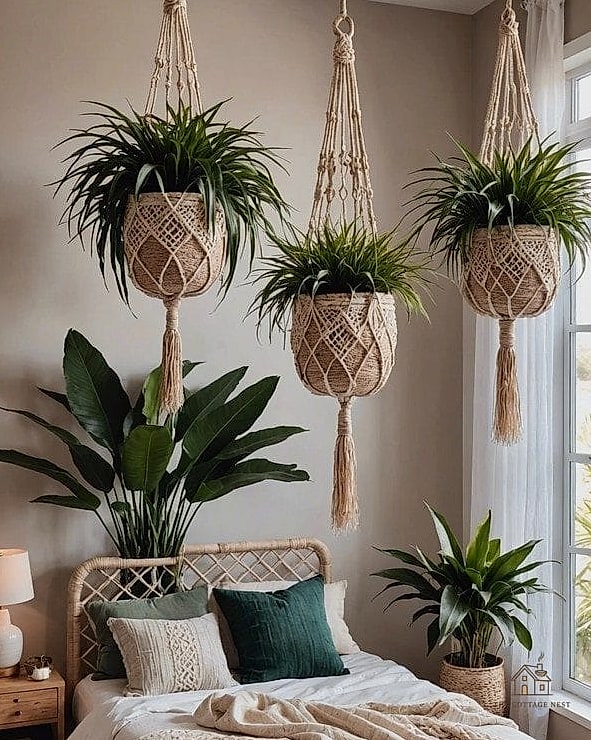 Macrame Plant Hangers in a Cluster