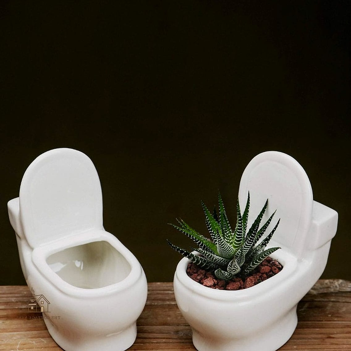15 Stunning Toilet Tank Decor Ideas You'll Absolutely Love 9 A Mini Succulent or Air Plant
