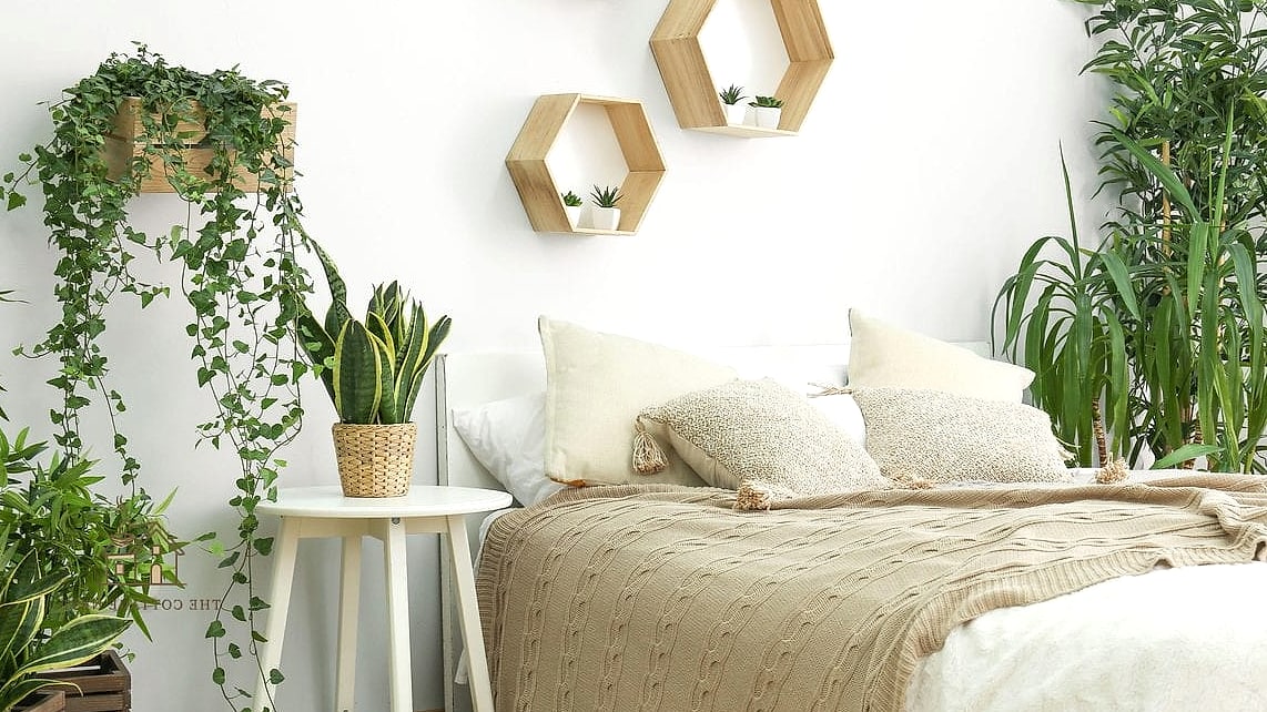Plant Grouping by a Reading Chair