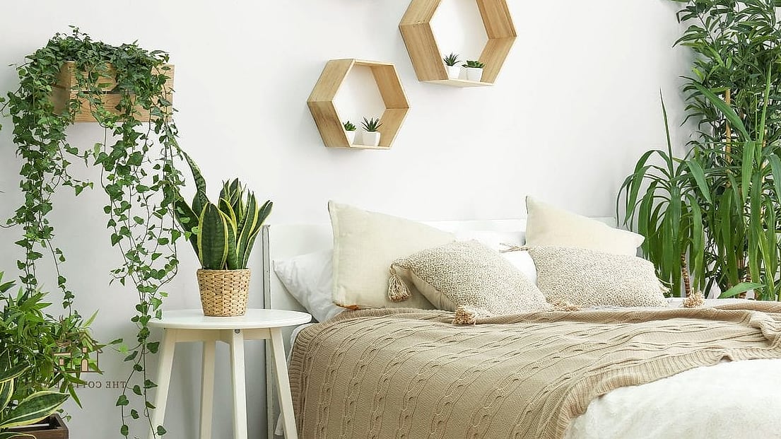 Plant Shelf Above the Closet Door