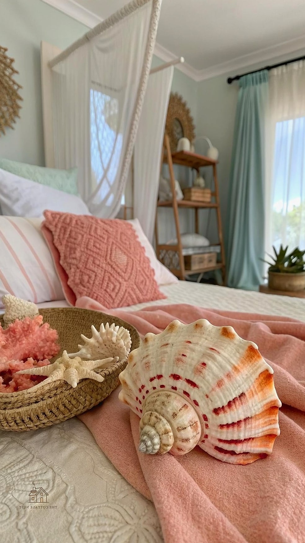 Shell and Coral Details