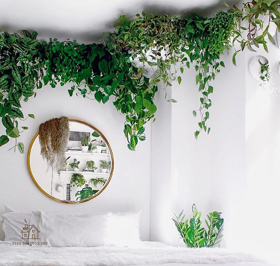 Wall-Mounted Plant Pockets