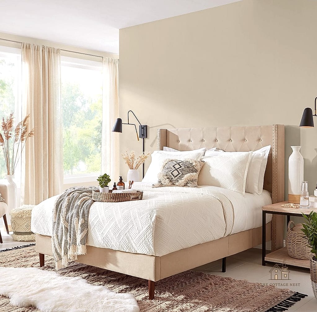 Warm White and Black Accents