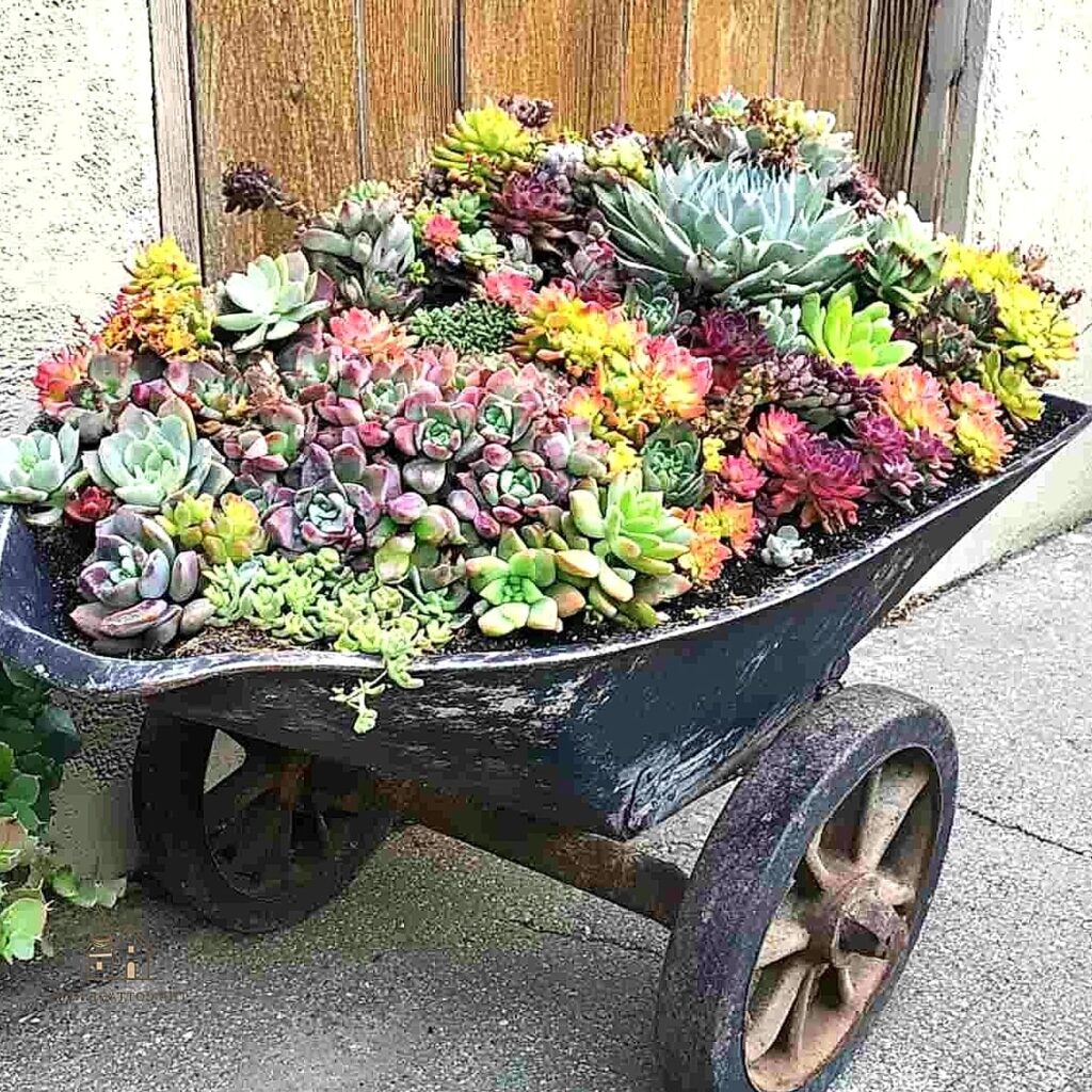 20 Clever Fall Decor Ideas For The Home for Every Style 1 featured 6732