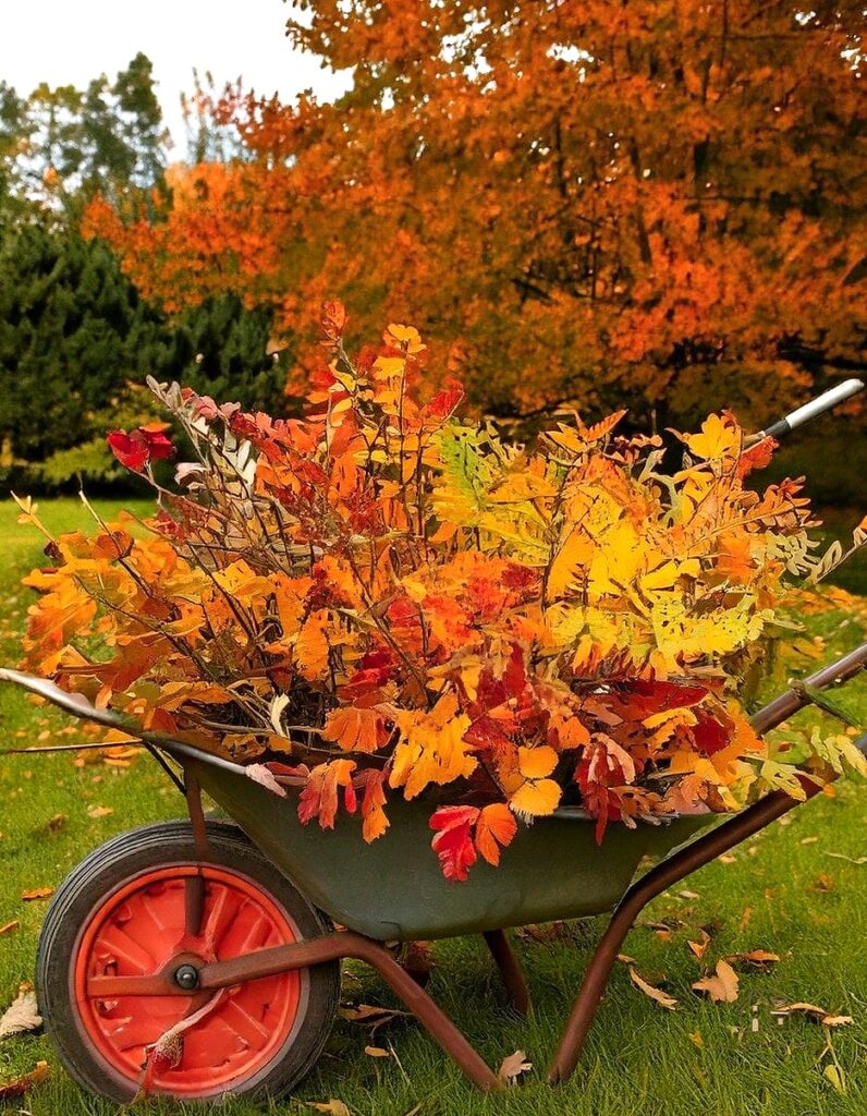 45 Gorgeous Front Yard Garden Ideas That Are Totally Doable 1 featured 7286