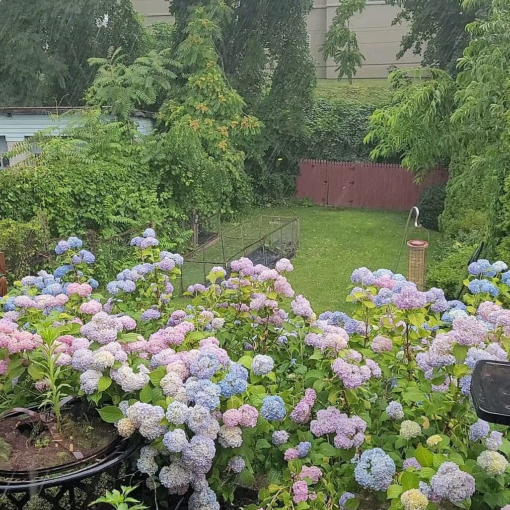 Add a DIY Rain Chain or Downspout Feature Nearby