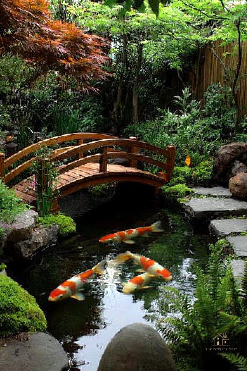 Add a Koi Pond in Miniature Form