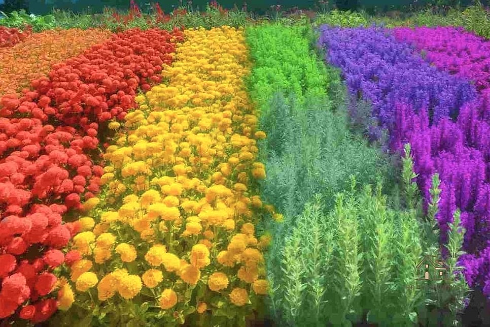 45 Stunning Corner Flower Bed Ideas You'll Absolutely Love 46 All-Annual Rainbow Corner Bed