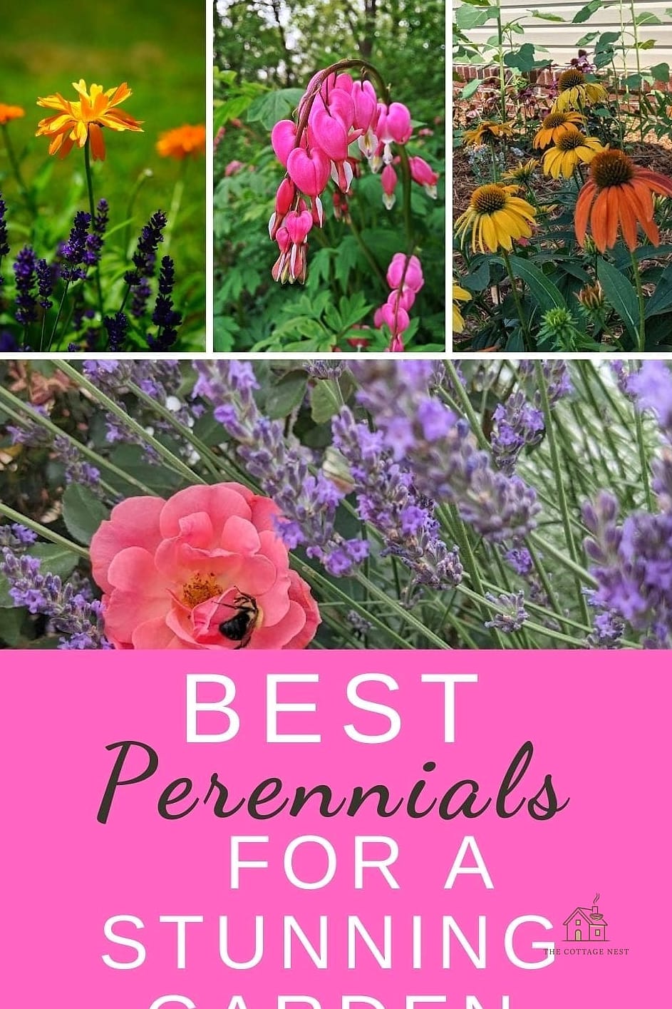 45 Stunning Corner Flower Bed Ideas You'll Absolutely Love 38 All-Perennial Low-Maintenance Corner Bed