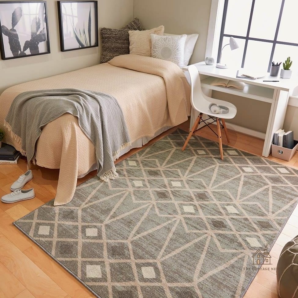 50 Amazing College Dorm Room Ideas For Guys on a Budget 15 Area Rug for Warmth and Sound