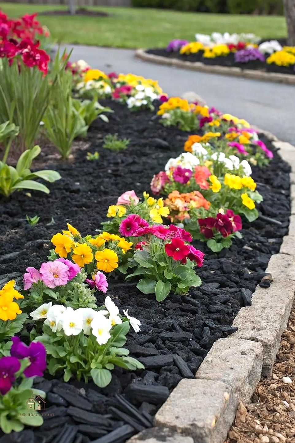 Black Mulch with Bright Annuals