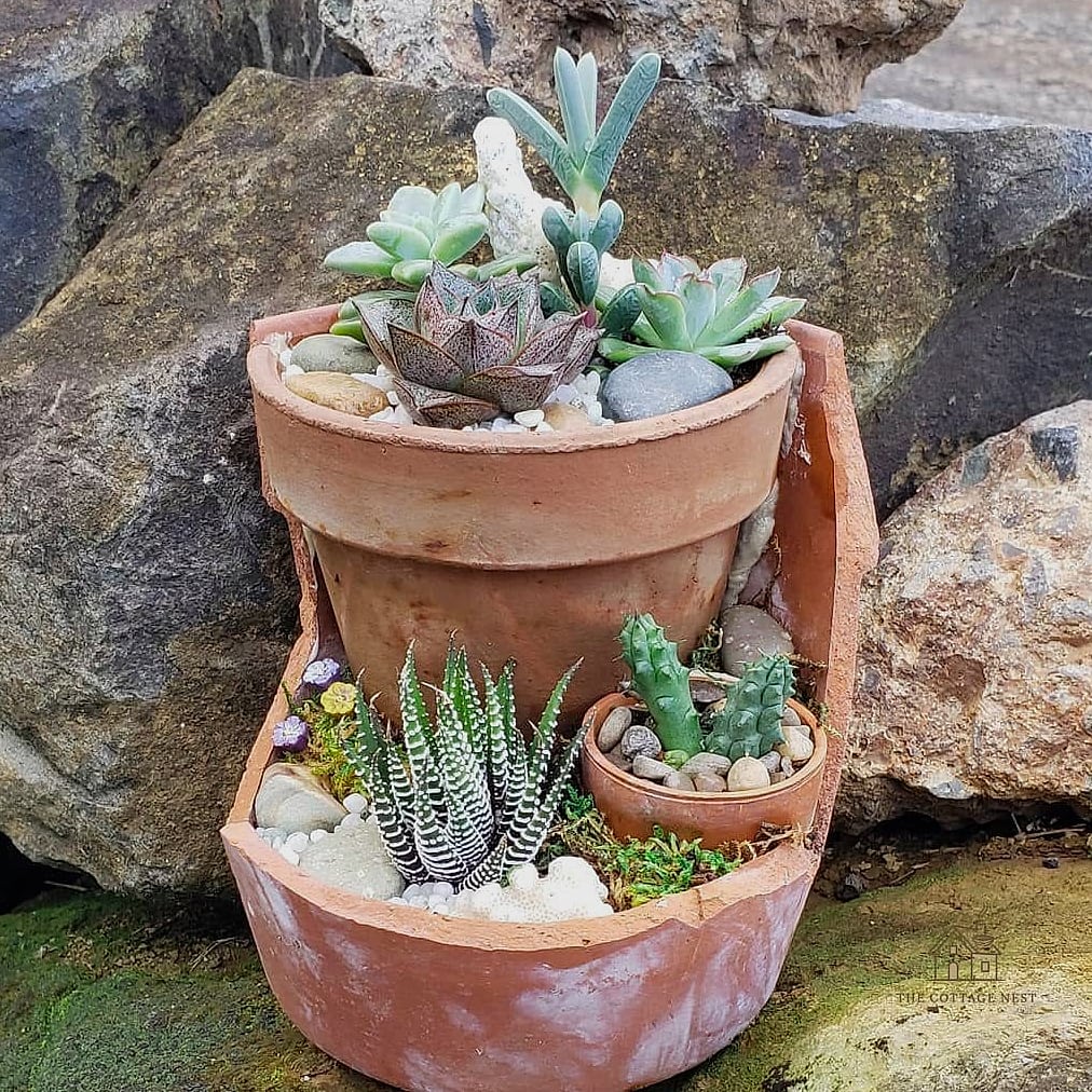 Broken Pot Fairy Garden