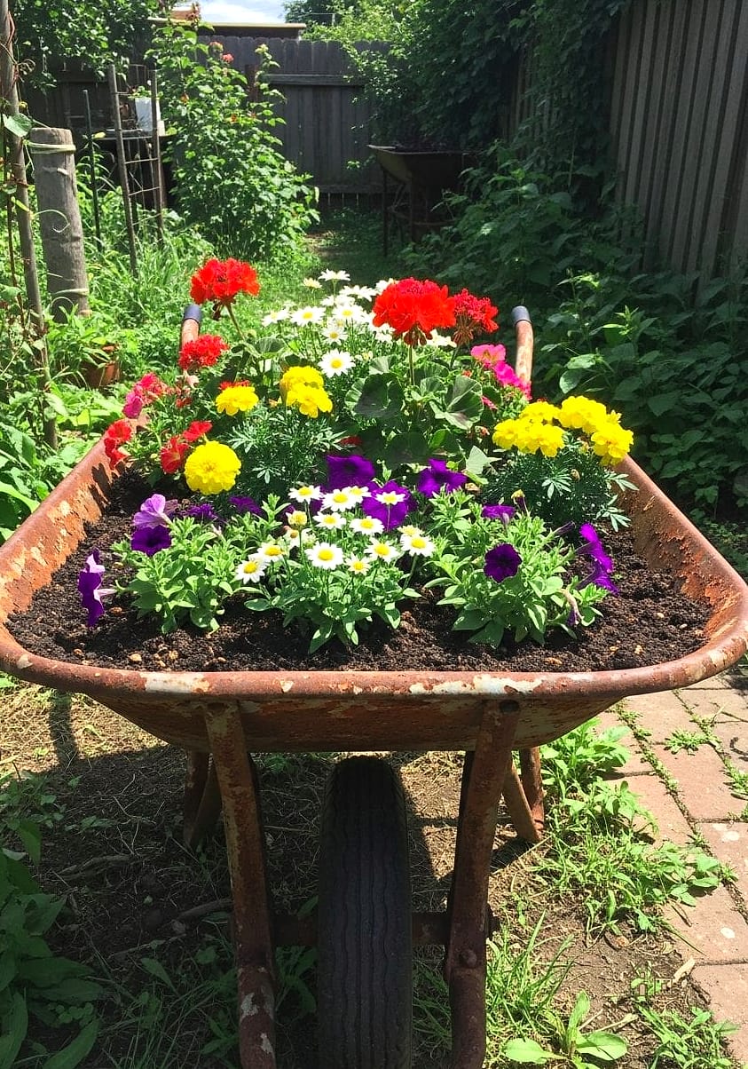 50 Clever Junk Garden Ideas Repurposed for Every Style 41 Broken Wheelbarrow Compost Bin