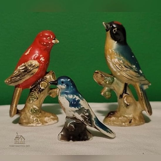 20 Clever Vintage Bird Cage Decor Ideas for Every Style 8 Build a Miniature Terrarium