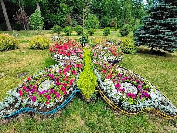 Butterfly Garden Bed