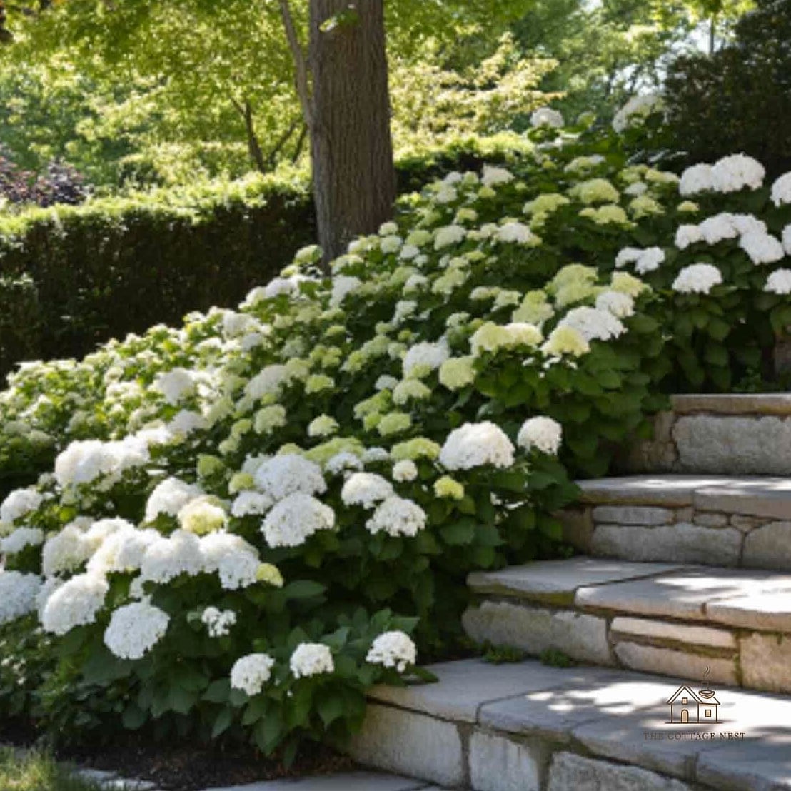 Change Bloom Color With Soil Amendments You Already Have