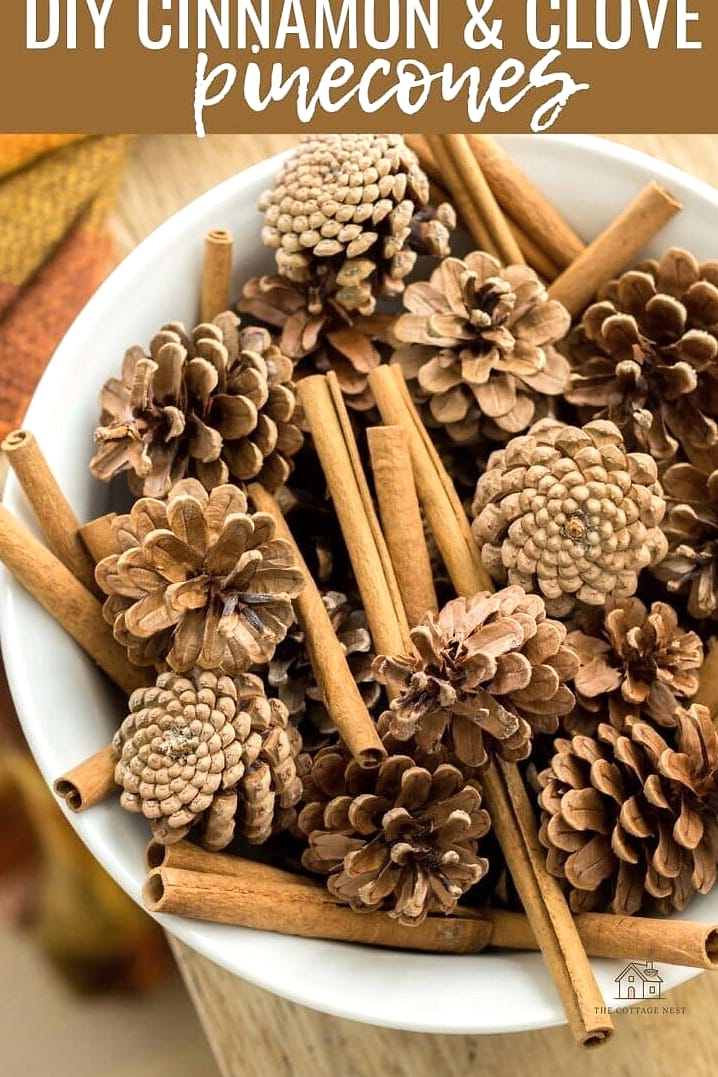 20 Clever Fall Decor Ideas For The Home for Every Style 9 Cinnamon and Clove Simmer Pots