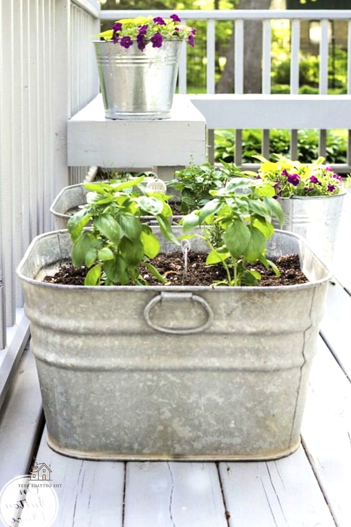 Classic Galvanized Herb Garden
