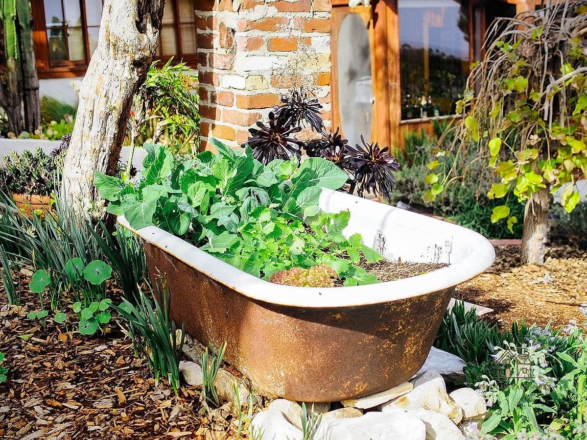 50 Clever Junk Garden Ideas Repurposed for Every Style 3 Claw-Foot Bathtub Flower Bed