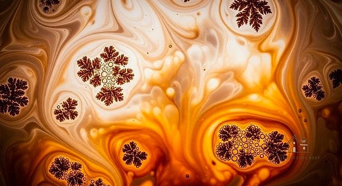 A Cluster of Amber Glass Bottles