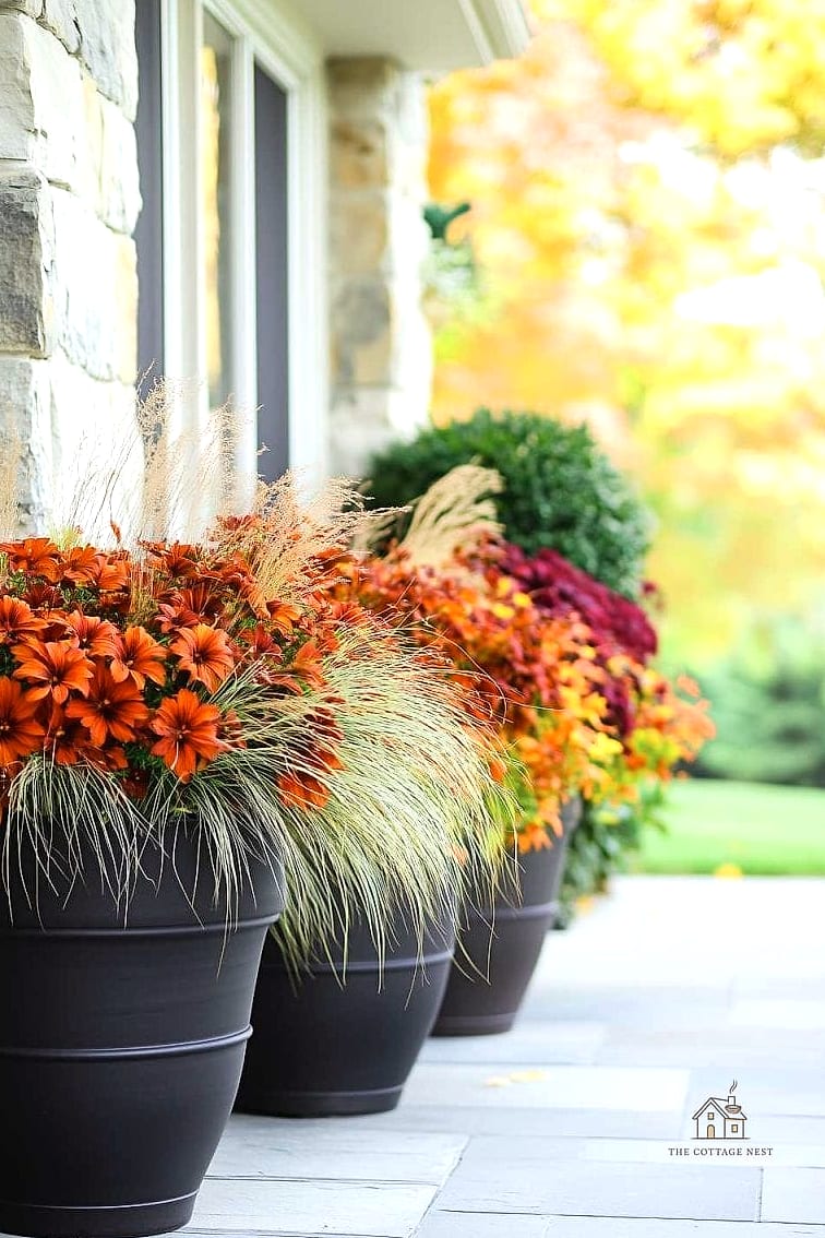 15 Brilliant Fall Outdoor Planter Ideas to Copy Right Now 7 Concrete Planters with Deep Burgundy Mums