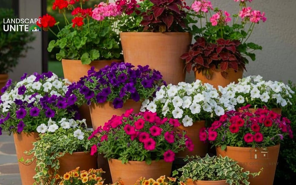 Container Cluster Instead of a Dug Bed