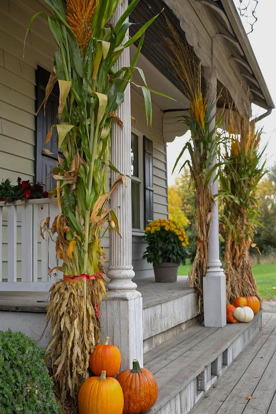 45 Gorgeous Fall Front Porch Decor Ideas That Are Totally Doable 4 Corn Stalks Flanking the Door