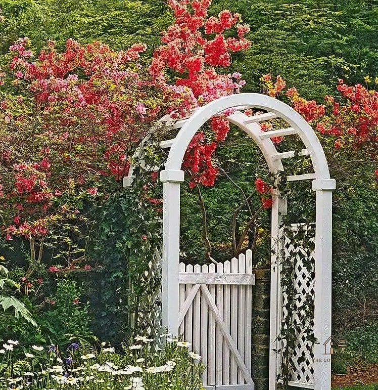 Cottage-Style Gate with Lattice Top