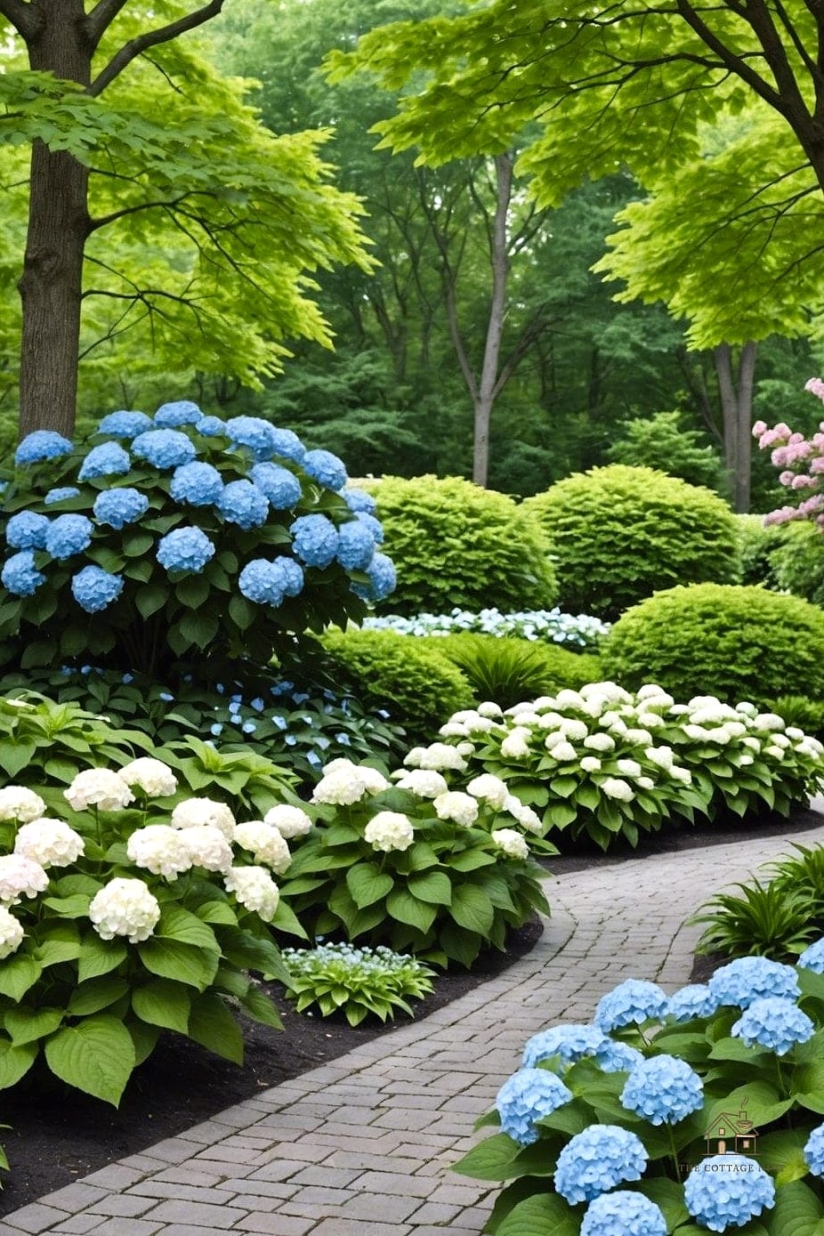Create a Shade Garden Under Trees