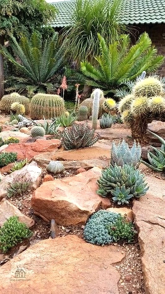 15 Stunning Rock Garden Ideas You'll Absolutely Love 4 Desert-Inspired Succulent Rock Garden