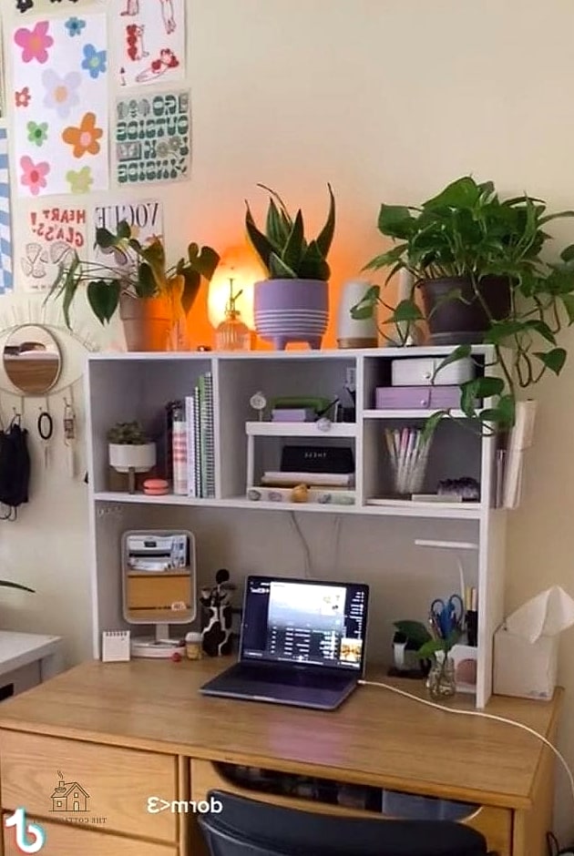 50 Beautiful College Dorm Desk Ideas to Transform Your Space 34 Desk-Side Hanging Organizer