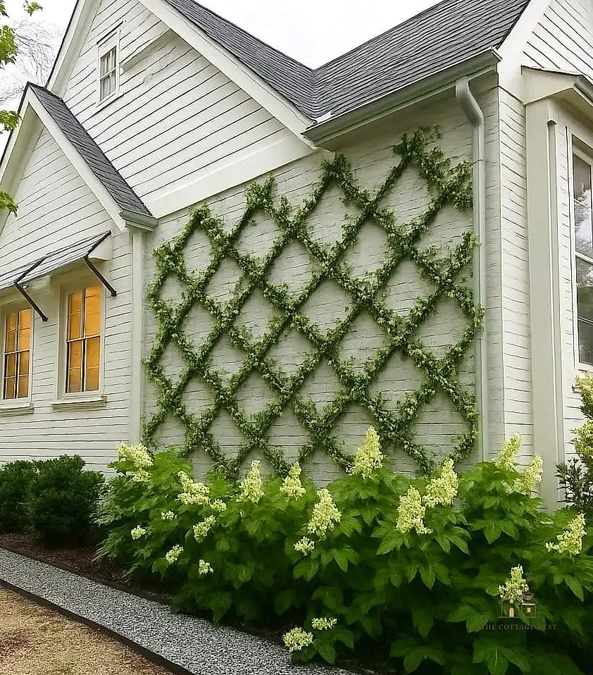 35 Brilliant Small Entryway Rug Ideas to Copy Right Now 28 Diamond Trellis Pattern Rug