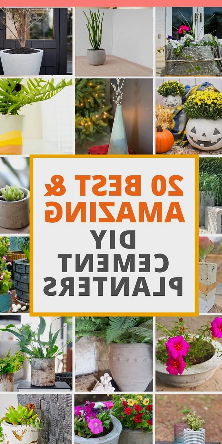 DIY Concrete-Dipped Planters