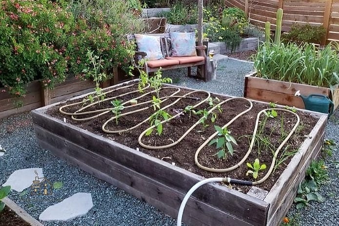 DIY Drip Irrigation from Plastic Bottles