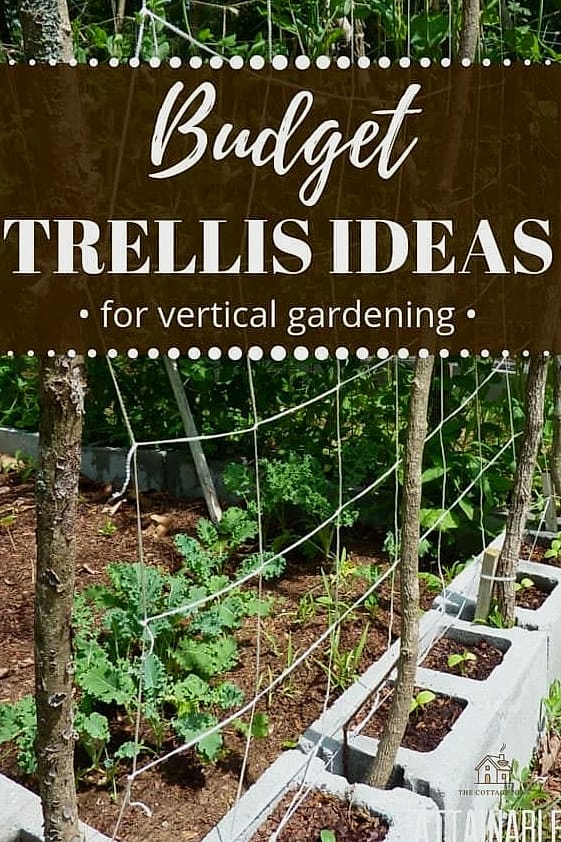 DIY Trellis from Branches