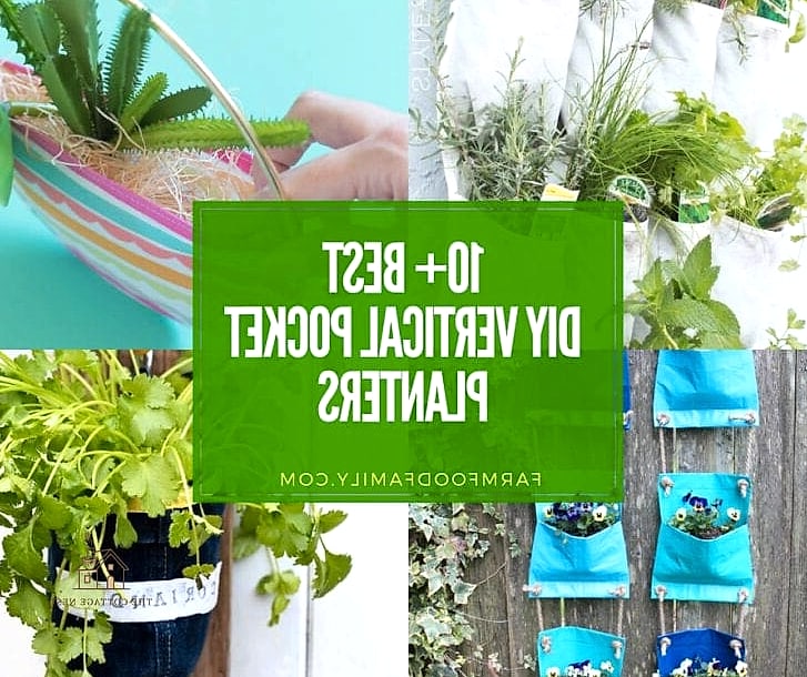 DIY Vertical Pocket Garden