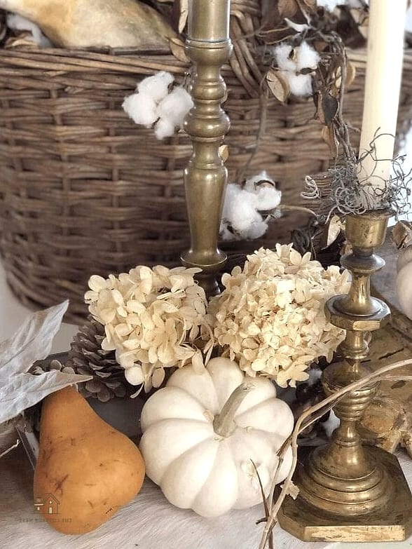Dried Hydrangea in a Neutral Vase