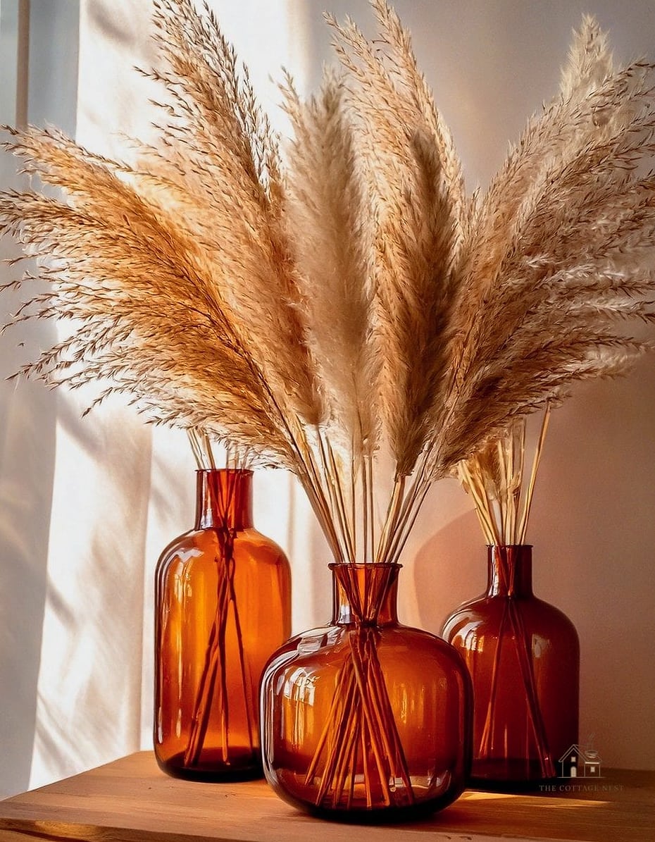 Dried Pampas Grass in a Ceramic Vase