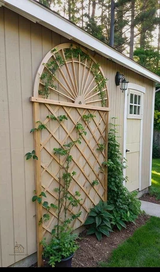 Fan-Shaped Trellis