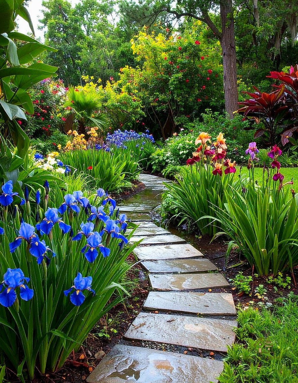 30 Dreamy Florida Landscaping Ideas to Try This Season 6 Florida-Friendly Rain Garden