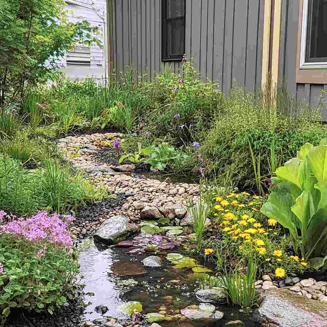 A Front Yard Rain Garden