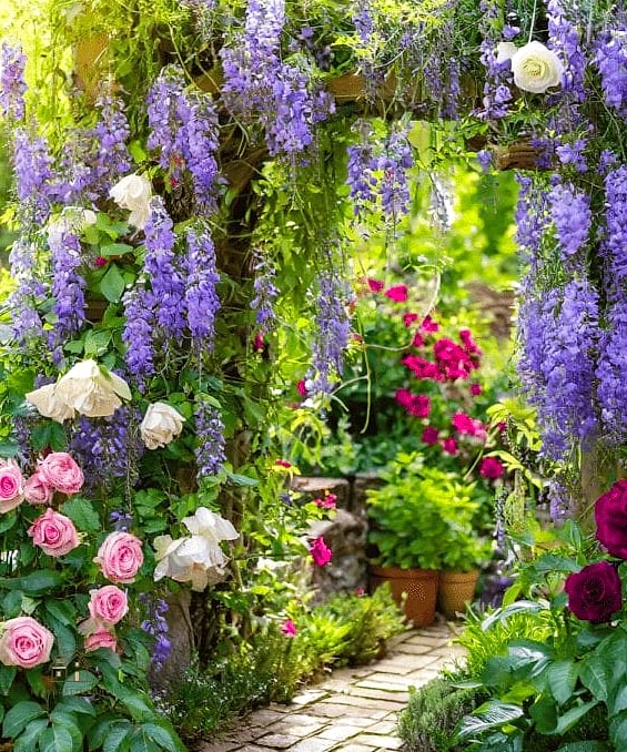 35 Brilliant Cottage Garden Ideas to Copy Right Now 17 Grow Climbing Hydrangeas on a Wall