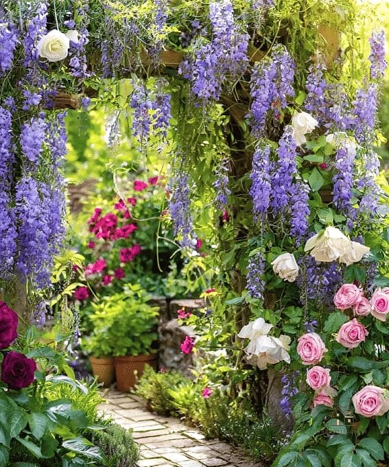 35 Brilliant Cottage Garden Ideas to Copy Right Now 29 Grow Climbing Nasturtiums for Easy Color