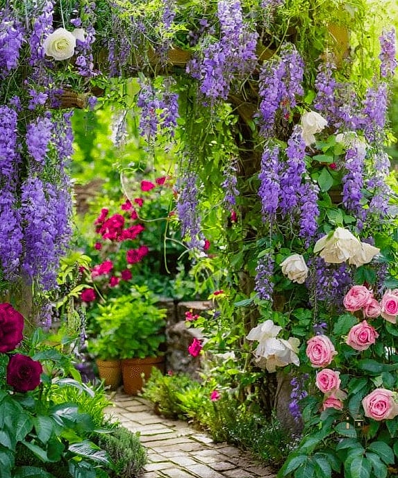 35 Brilliant Cottage Garden Ideas to Copy Right Now 33 Grow Climbing Honeysuckle for Fragrance