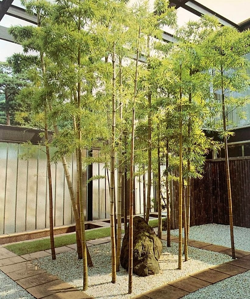 Install a Bamboo Fence for Privacy and Texture