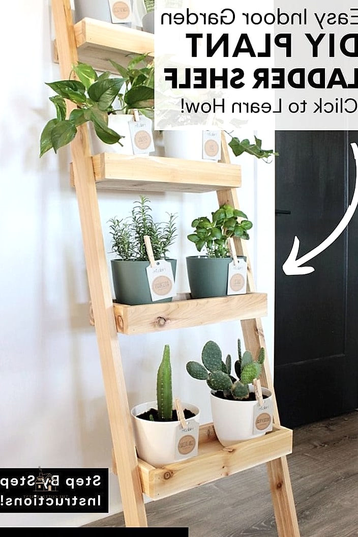 Ladder Plant Stand